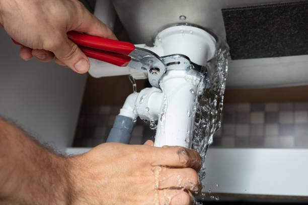 Best Sewage cleanup and water damage restoration  in USA